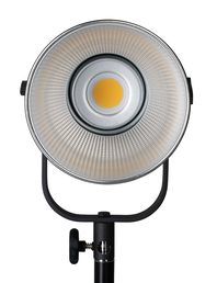Nanlite Forza 200 LED Light with bag, Studio Light, 5600K, daylight